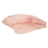 Fresh Fluke Fillet