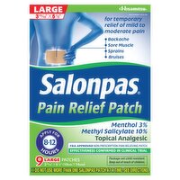 Hisamitsu Salonpas Large Pain Relief Patch, 9 count