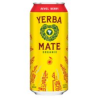 Guayakí Organic Revel Berry Yerba Mate Plant Powered Brew, 15.5 fl oz