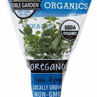 The Floral Shoppe Organic Oregano Plant, 1 each