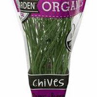 The Floral Shoppe Organic Chives Plant, 1 each