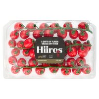 Nature Fresh Farms Hiiros Tomatoes, 1.5 lbs