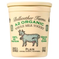 Bellwether Farms Plain A2 Organic Whole Milk Yogurt, 32 oz