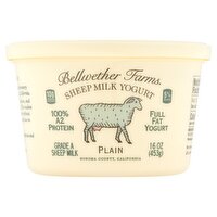 Bellwether Farms Plain Sheep Milk Yogurt, 16 oz