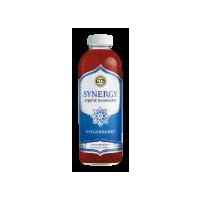 Millennium Kombucha Drink - Gingerberry, 16 fl oz