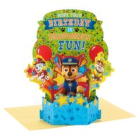 Hallmark Paper Wonder Pop Up Birthday Card for Kids (Paw Patrol)