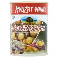 Kvuzat Yavne Mixed Olives, 19 oz