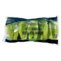 Pacific Petite Romaine, 5 count