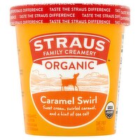 Straus Family Creamery Caramel Swirl Organic Super Premium Ice Cream, 1 pint