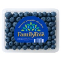 FamilyTree Farms Blueberries, 1 pint