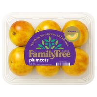 FamilyTree Farms Green Plumcots, 1 lb