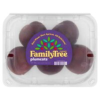 FamilyTree Farms Plumcots, 1 lb