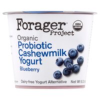 Forager Project Organic Blueberry Probiotic Cashewmilk Dairy Free Yogurt Alternative, 5.3 oz