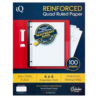 iScholar New York Reinforced Quad Ruled Paper, 100 sheets