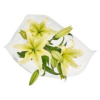 Oriental Lily Bunch