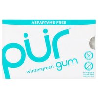 Pur Wintergreen Sugar-Free Chewing Gum, 9 count