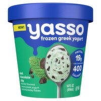 Yasso Mint Chocolate Chip Frozen Greek Yogurt, 14 fl oz