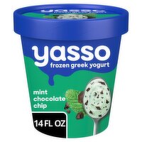 Yasso Mint Chocolate Chip Frozen Greek Yogurt, 14 fl oz