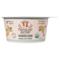 Painterland Sisters Blueberry Lemon Organic Skyr Yogurt, 5.3 oz