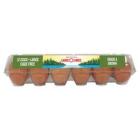 Land O Lakes Brown Eggs, Large, 12 count, 12 Each