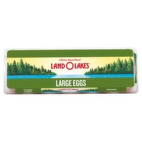 Land O Lakes Brown Eggs, Large, 12 count