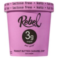 Rebel Peanut Butter Caramel Chip Ice Cream, one pint