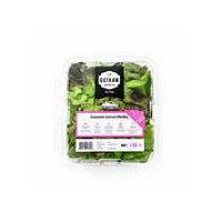 Gotham Greens Gourmet Lettuce Medley, 4.5 oz