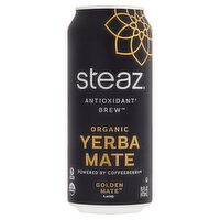 Steaz Golden Mate Organic Yerba Mate Brew, 16 fl oz