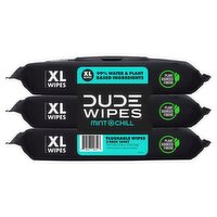 DUDE Wipes Mint Chill with Mint & Eucalyptus Oils XL Flushable Wipes, 48 count