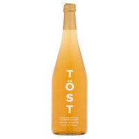 Tost Cranberry & Ginger Sparkling White Tea, 25.4 fl oz