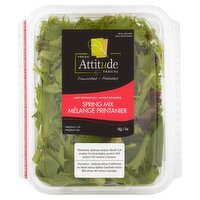 Fresh Attitude Prewashed Spring Mix, 5 oz, 5 Ounce