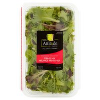 Fresh Attitude Prewashed Spring Mix, 11 oz