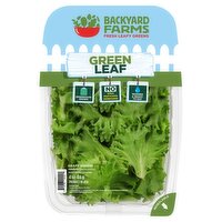 Backyard Farms Green Leaf, 4 oz