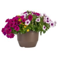 Annaula Patio Pots 10"