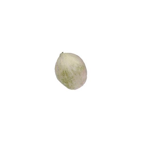 Charenrais Melon, 1 ct, 1 each