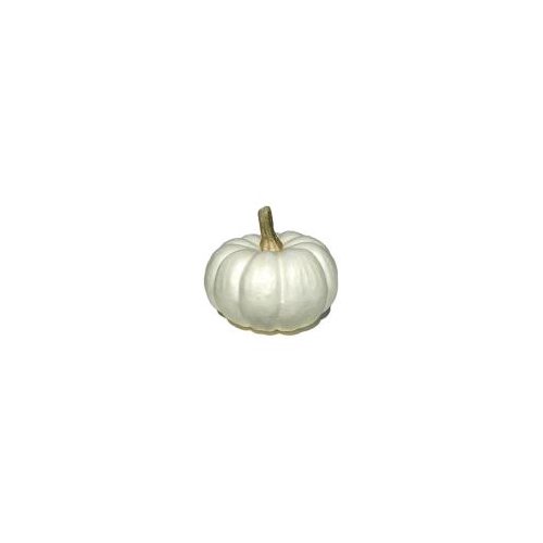 Fresh White Pumpkins, 3 pound