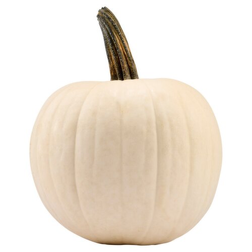 Fresh White Pumpkin, each