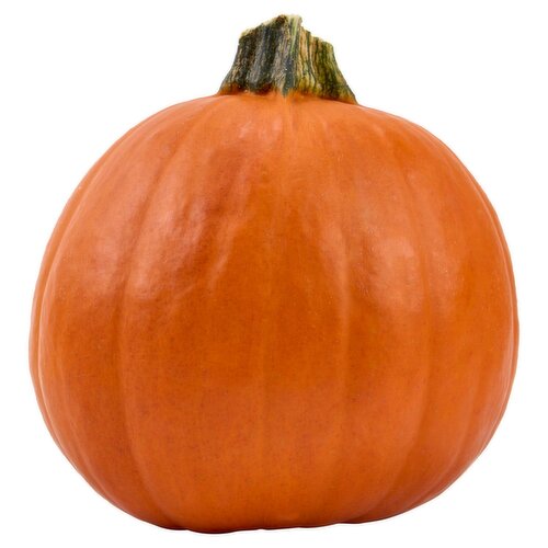 Fresh Pie Pumpkins, each