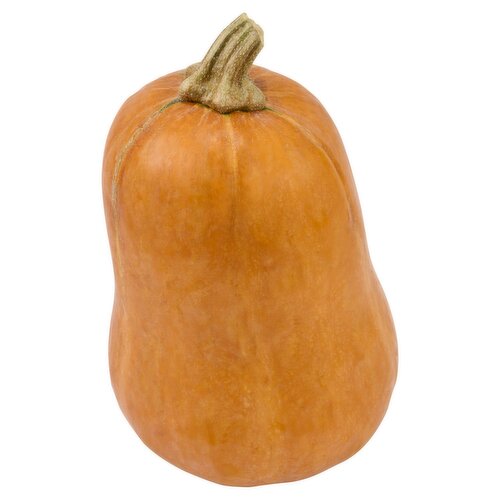 Fresh Honeynut Squash