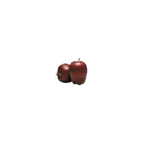 Apples Premium Extra Large Golden Red Delicious, 10 oz