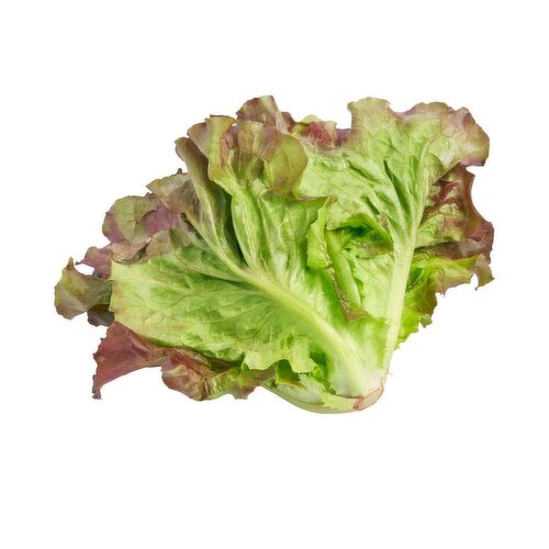 Red Leaf Lettuce, 9 oz