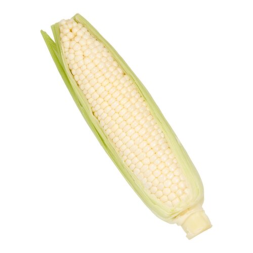 Fresh White Corn, each