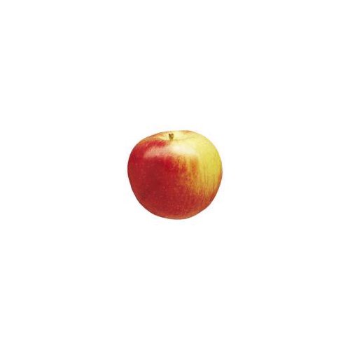 Empire Apple, 1 ct, 10 oz