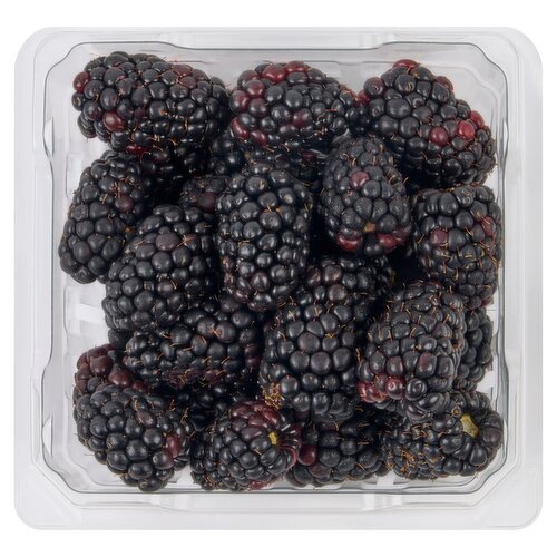 Fresh Organic Blackberries, 6 oz