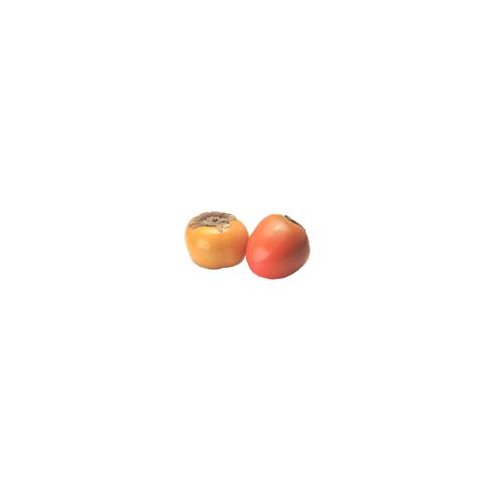 Fuyu Persimmon, 1 ct, 1 each