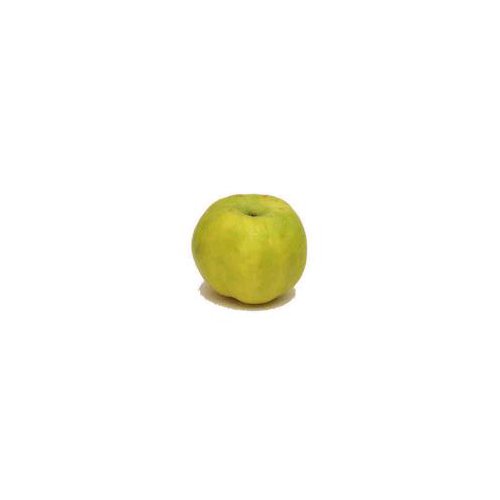 Quince Apple, 1 ct, 1 each