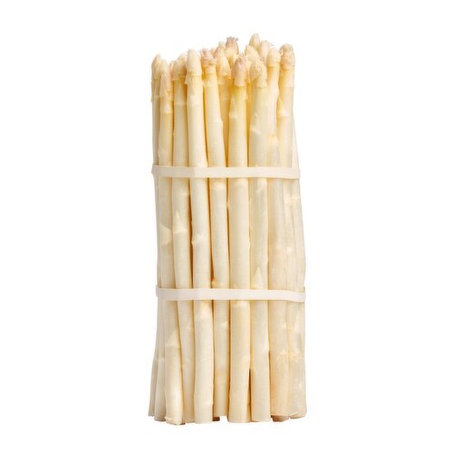 White Asparagus Bundle, 1 pound