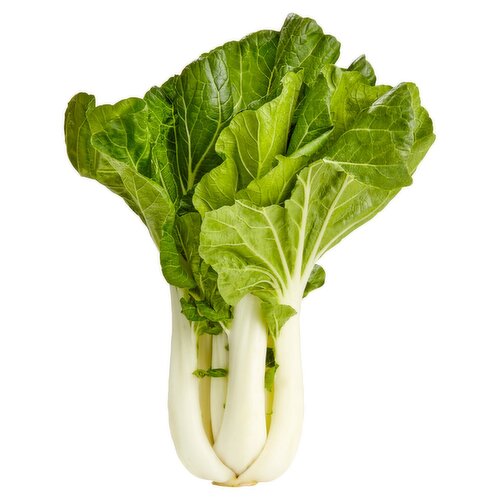 Bok Choy 1 ct, 16 oz