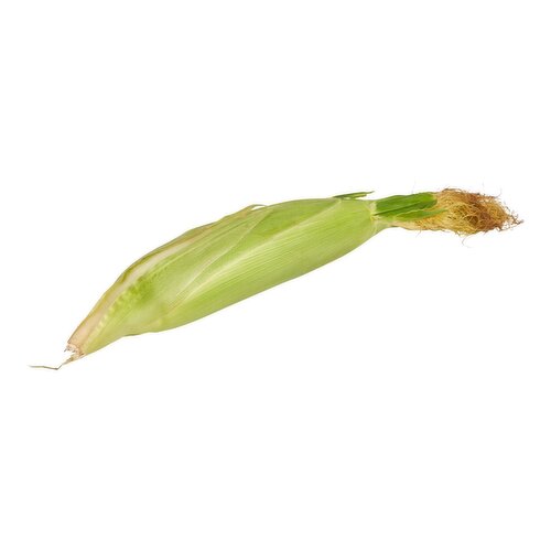 Fresh Bi-Color Corn, 1 each