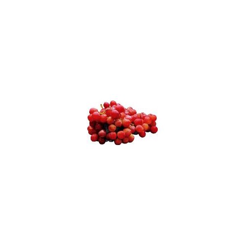 Sunset/Scarlet Grapes, 1 pound